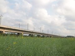 -光明小镇欢乐田园