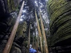 -梭布垭石林景区
