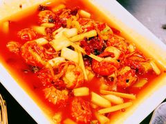 -不炭白烧烤(成都首店)