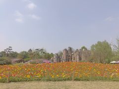 -秀丽东方