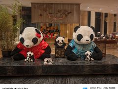 -成都保利公园皇冠假日酒店(熊猫基地店)