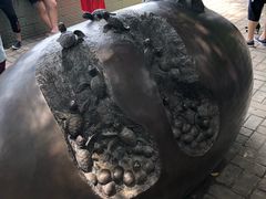 -广东惠东海龟国家级自然保护区