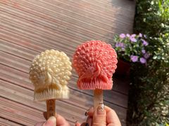 -西双版纳原始森林公园