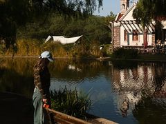 -上海共青森林公园