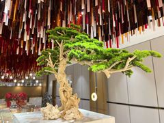 -青水瓦台汤泉(未央店)