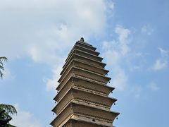 -洛阳白马寺