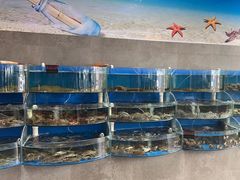 -蓝珊甄选海鲜自助·火锅大排档(近阿那亚店)