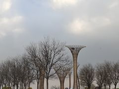 -武清南湖绿博园