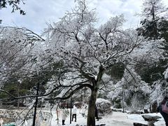 -庐山风景名胜区