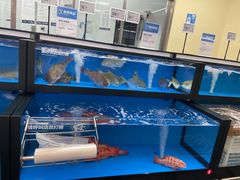 -盒马X会员店(王府井奥莱UP TOWN店)