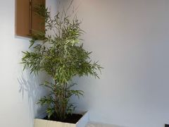 -奈诺甜品·生日蛋糕·下午茶(古城店)