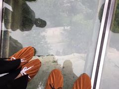 -罗田天堂寨风景区