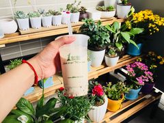 -1点点(学府路店)