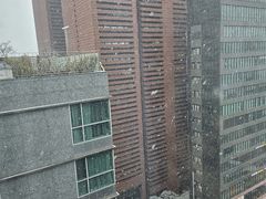 -新世界百货(明洞总店)