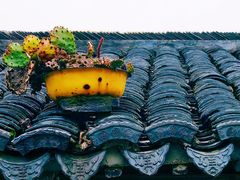 -张家港凤凰山景区恬庄古街