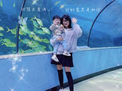 -苏州海洋馆