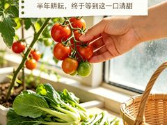 -米岗农庄
