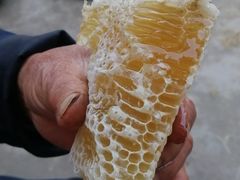 -绵阳盛世樱花悠乐谷