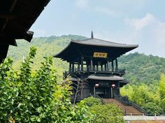 -大唐贡茶院