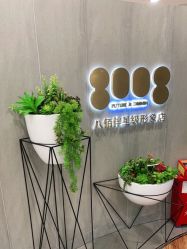 点击看大图 -八佰伴8008星级形象店