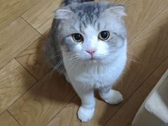 -蛙来哒(汇一城黑金冠店)
