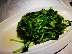清炒鸡毛菜-玉玲珑(陆家嘴店)