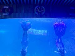 -左海海底世界