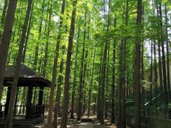 -南京金牛湖风景区