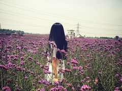 -紫颐香薰山谷景区
