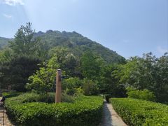 -北京鹫峰国家森林公园
