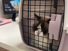 -艾贝尔宠物医院 ·中兽医·宠保定点(北门桥店)