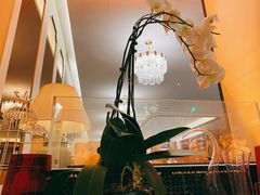 -人间采蜜(海信广场店)