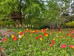 -香山公园