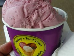 -Dooley's Premium Ice Cream