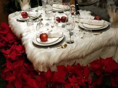 -蝶舍·MAISON PAPILLON