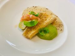 -蝶舍·MAISON PAPILLON