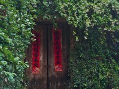 -杨家堂村