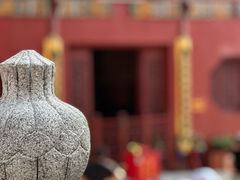 -深圳仙湖植物园