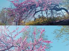 -滨河世纪广场公园