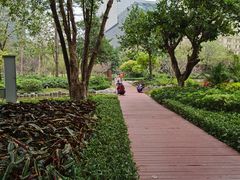 -邓老凉茶(保利店)