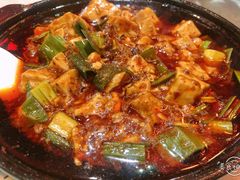 -陈麻婆豆腐总店