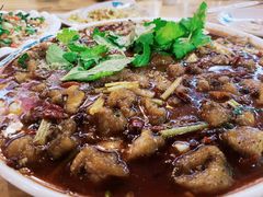 泰安鱼-潼南太安名鱼•特色江湖菜 太安鱼