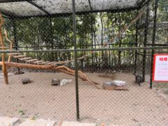 -合肥滨湖国家森林公园