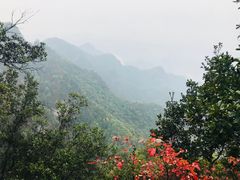 -塔云山