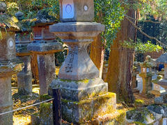 -奈良公园