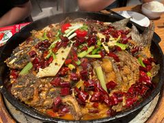 -老板恋上鱼(恒隆广场店)