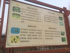 -康陵正德春饼宴26号