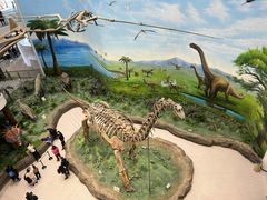 -辽宁古生物博物馆