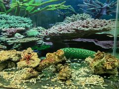 -泉州海丝野生动物世界