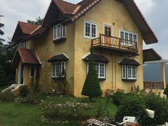 -黄色小屋